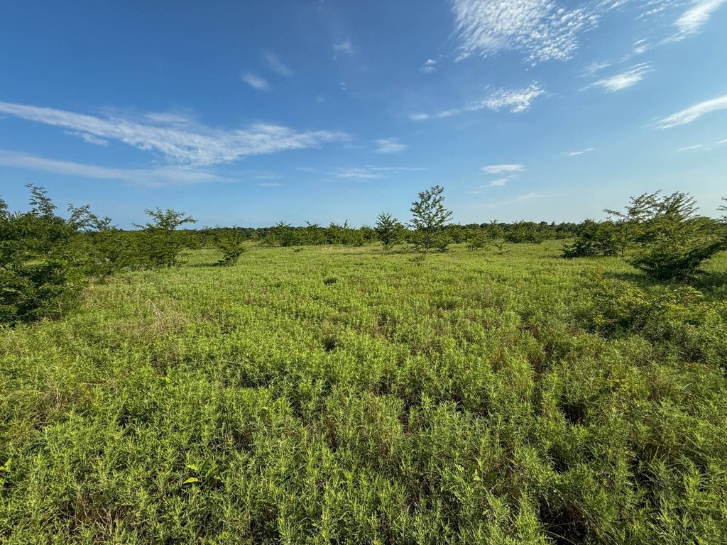 Picture 20