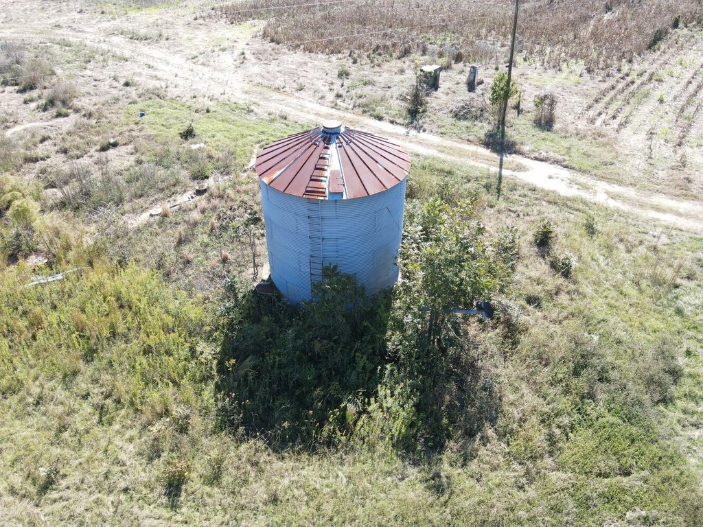 Picture 31