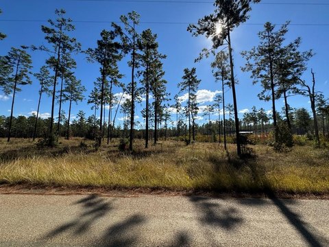 Waterfront Lot in Brookeland, TX