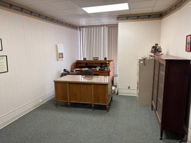 Picture 6