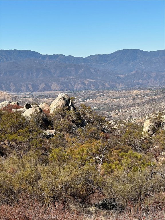 Picture 10