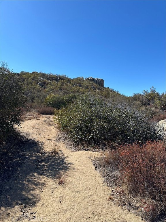 Picture 9