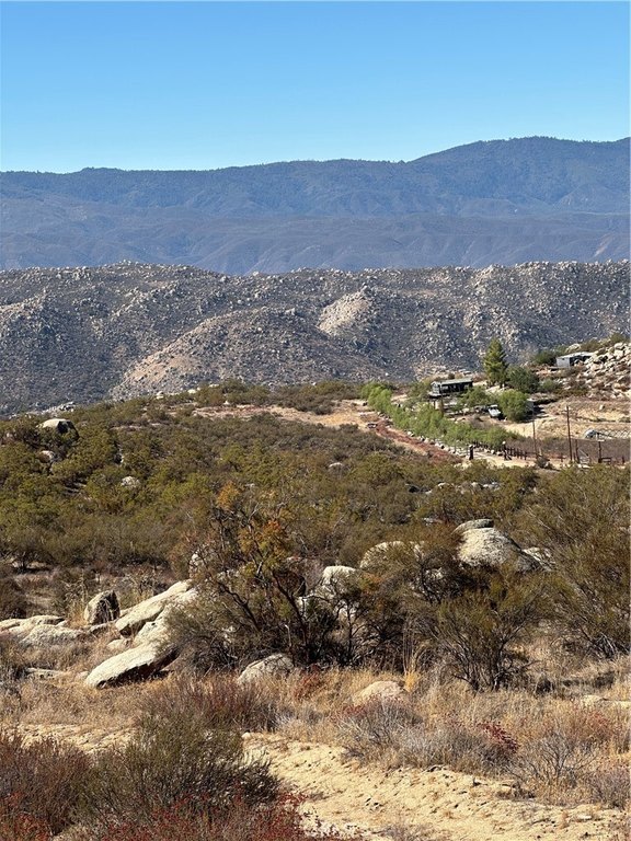 Picture 13