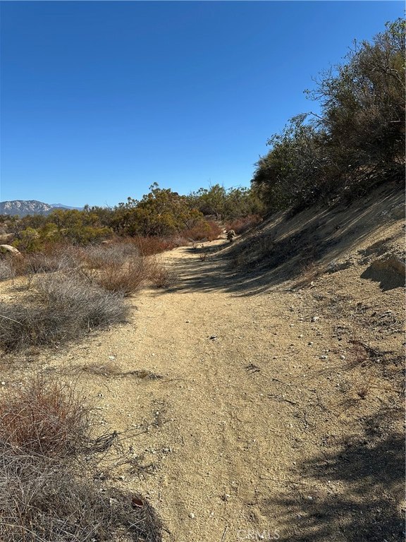 Picture 14