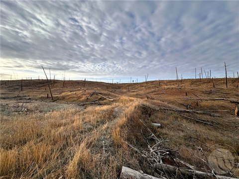 20 Acres Hunting Land, Roundup