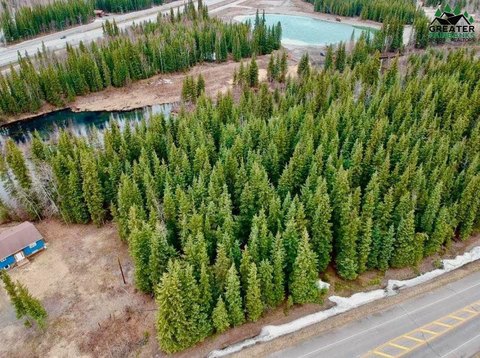 Wooded Lots Near Eielson
