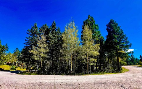Half-Acre Lot in Angel Fire