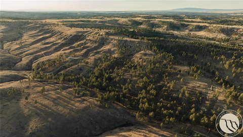 20 Acres in Bull Mountains