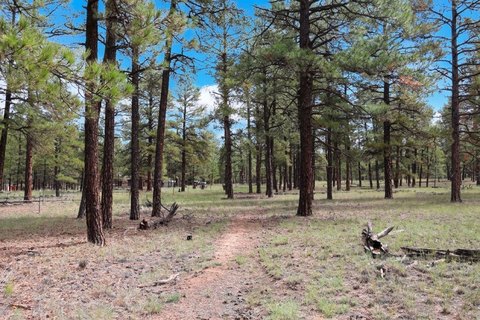 Land, Grants, NM