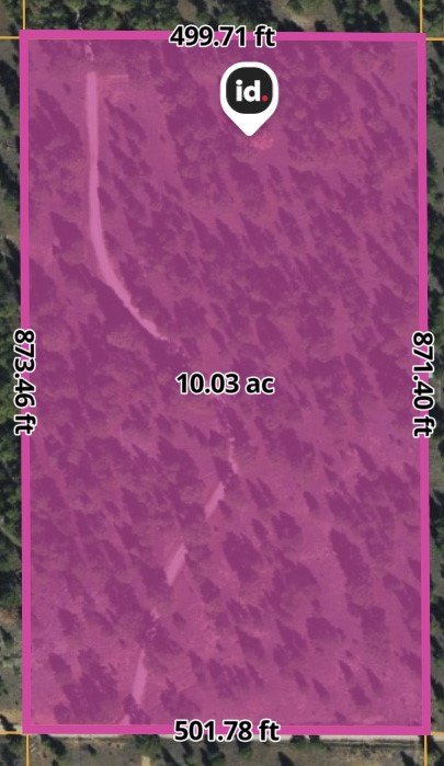 Picture 31