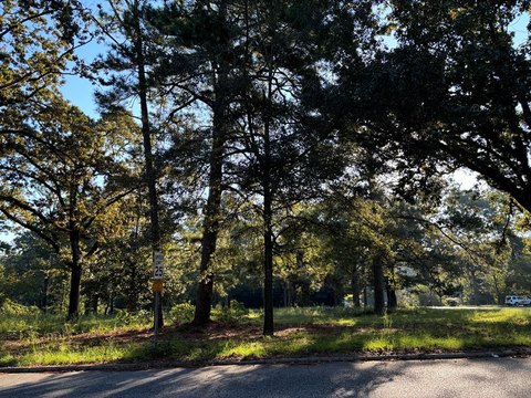 Commercial Lot in Dothan, AL
