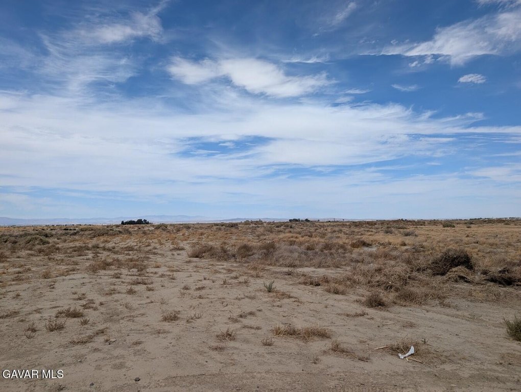 Picture 3
