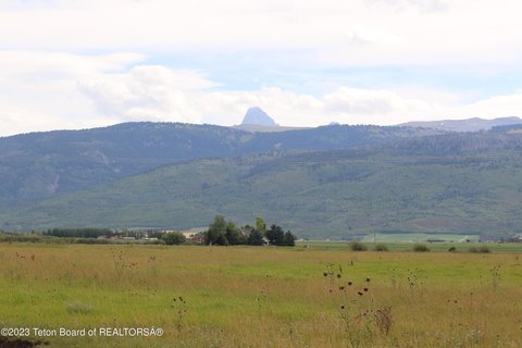 50+ Acre Parcel with Views