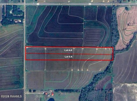 Land, Branch, LA