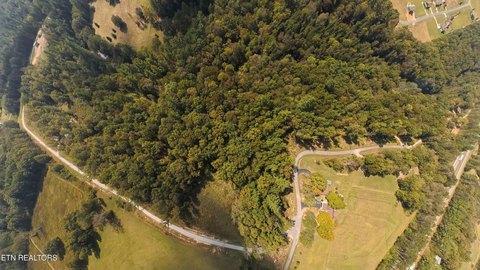 Lots & Acreage, Crab Orchard, TN