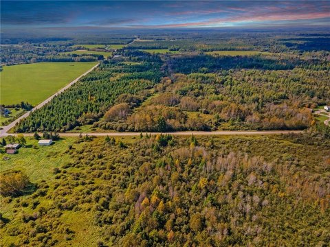 56+ Acre Wooded Land Parcel