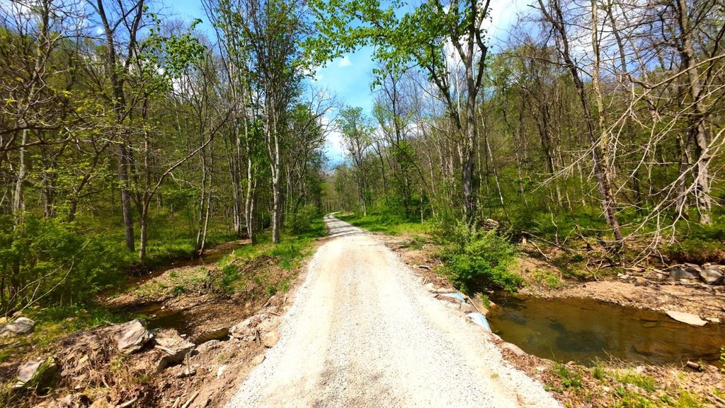 Picture 9