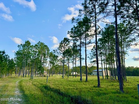 Ormond Beach 20-Acre Farm