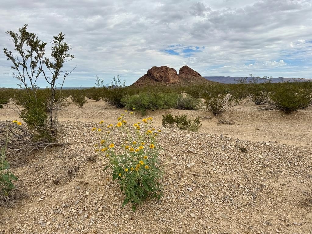 Terlingua Ranch Desert Acreage