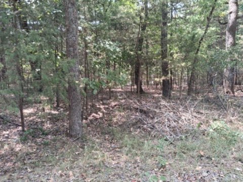LAND - Murchison, TX