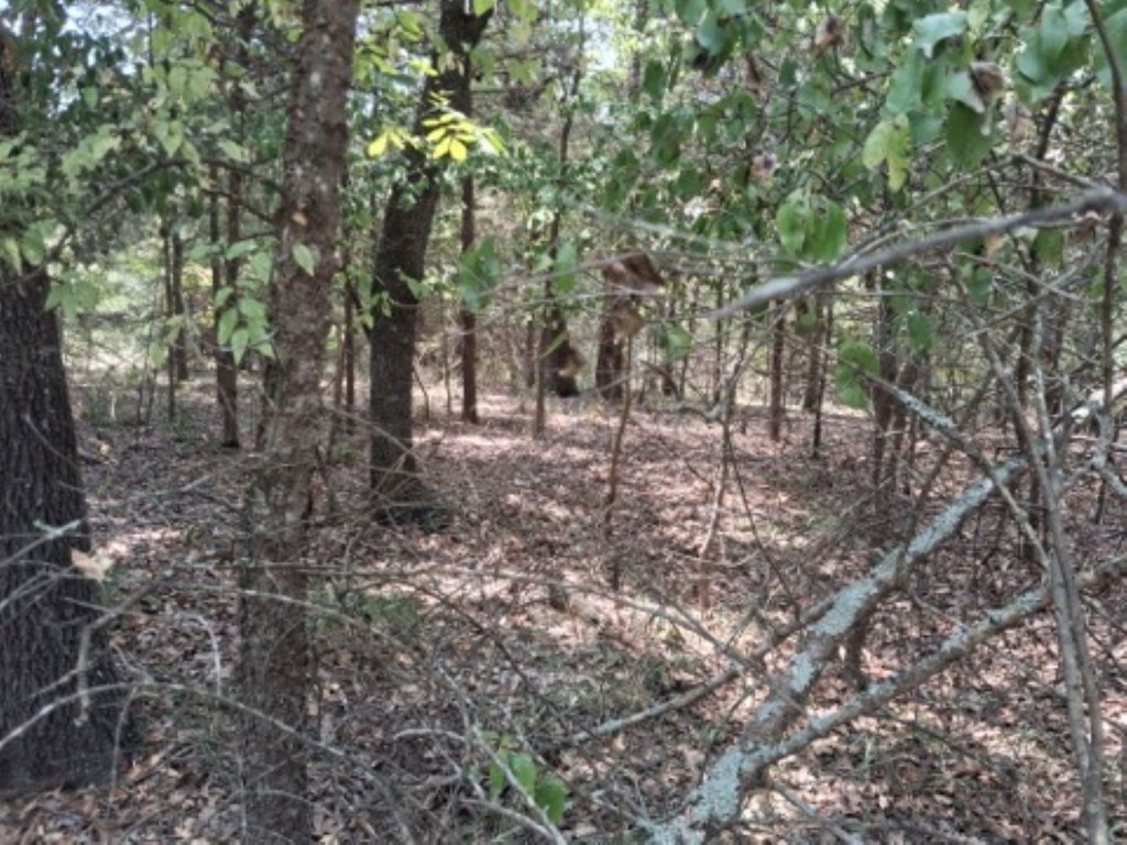 Picture 4