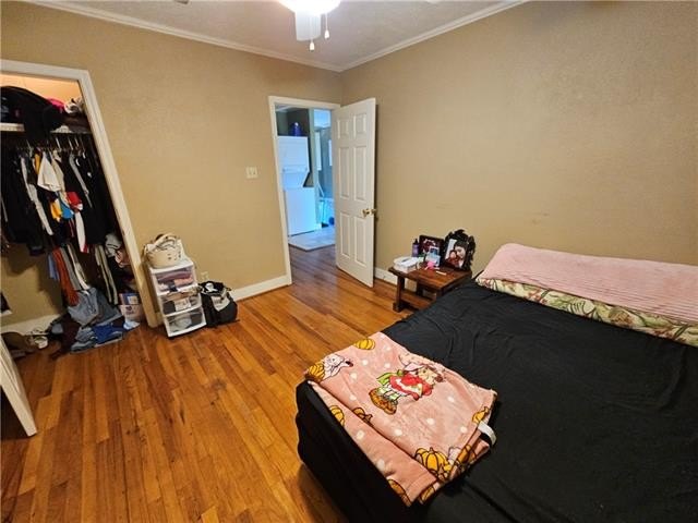 Picture 51