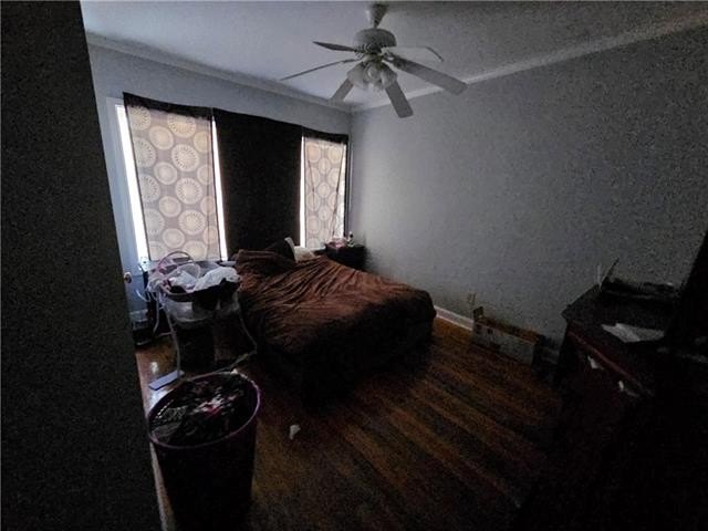 Picture 42