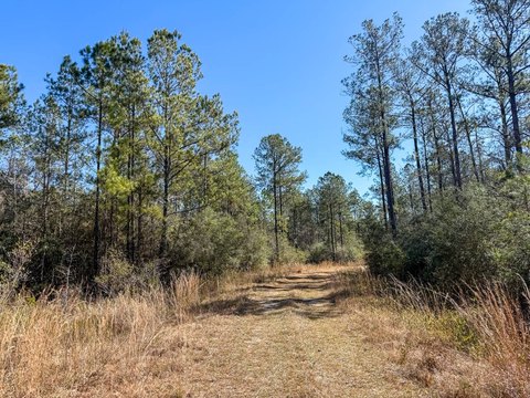 Riverfront Hunting Land