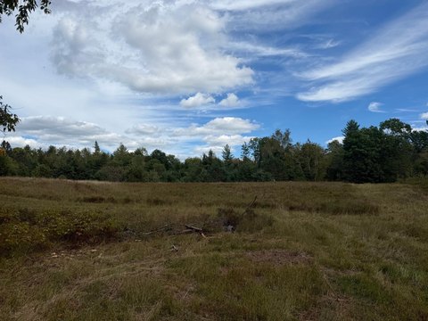 Land, Minocqua, WI