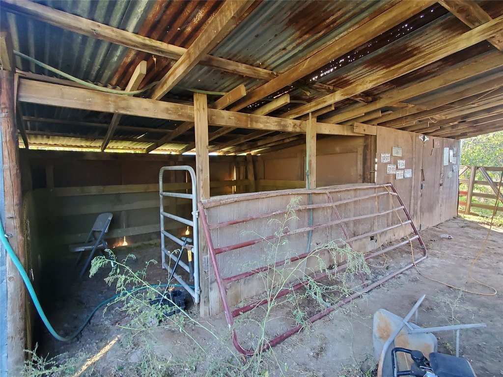 Picture 12