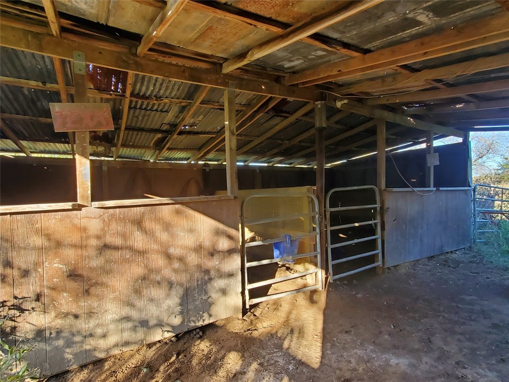 Picture 11