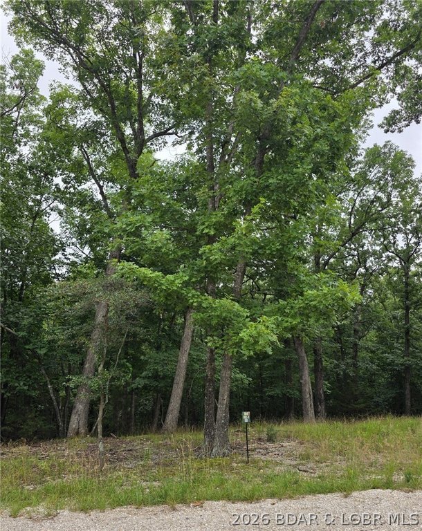 Picture 3