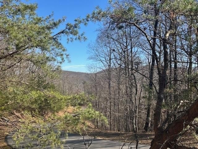 Mountain View Lot in Jasper