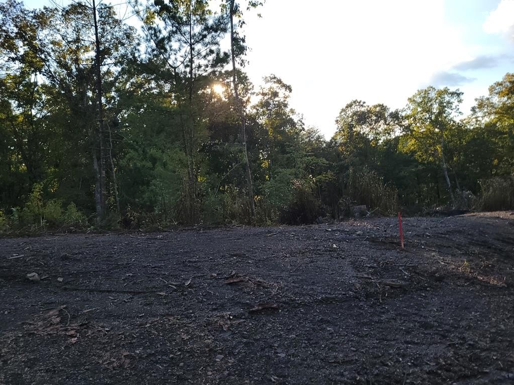 Picture 18