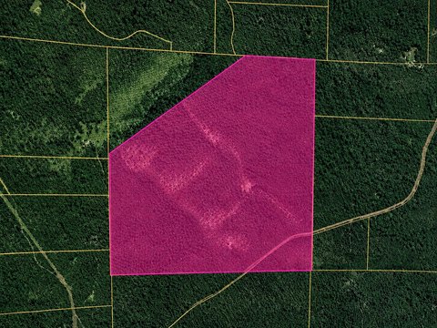 LAND - West Plains, MO