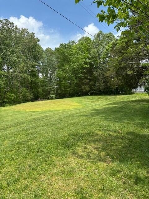 25 Acres of Open Land