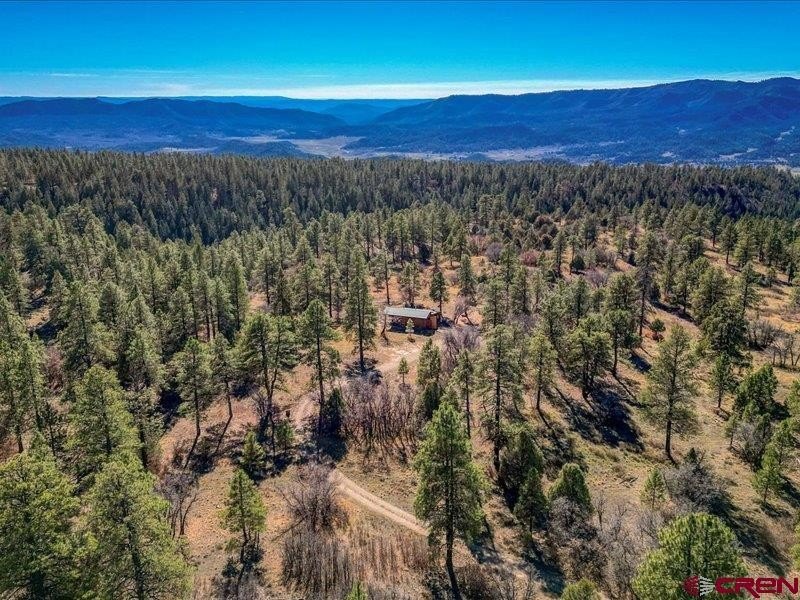 Pagosa Springs Land For Sale