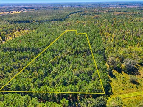 Waverly, GA Farm/Timber Land