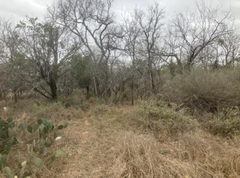 Granite Shoals Double Lot Opportunity