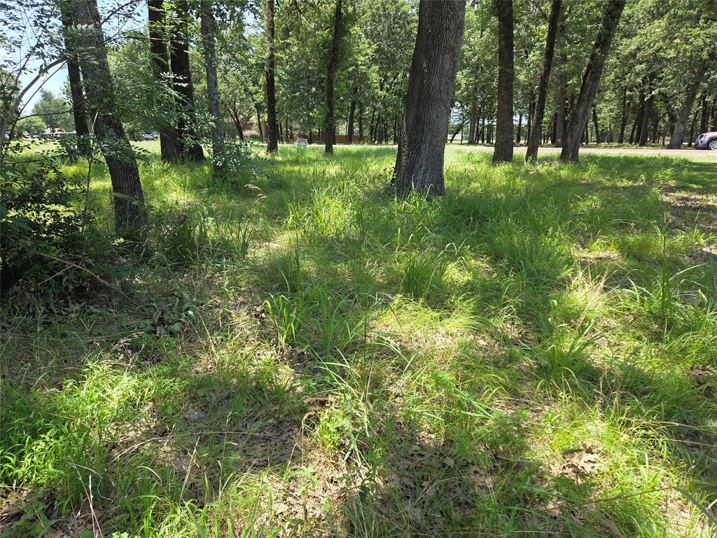 Picture 36