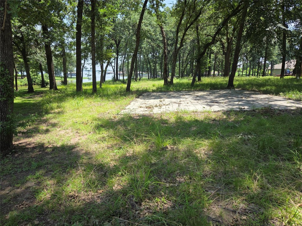 Picture 37