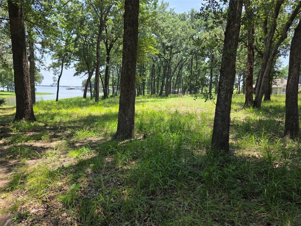 Picture 27