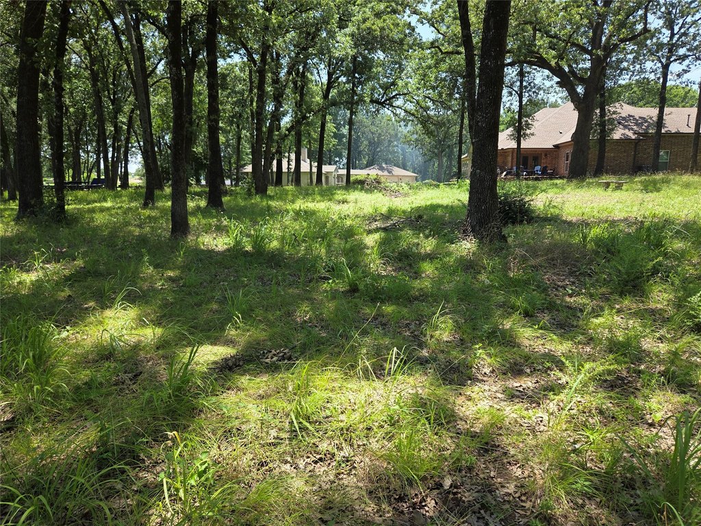 Picture 40