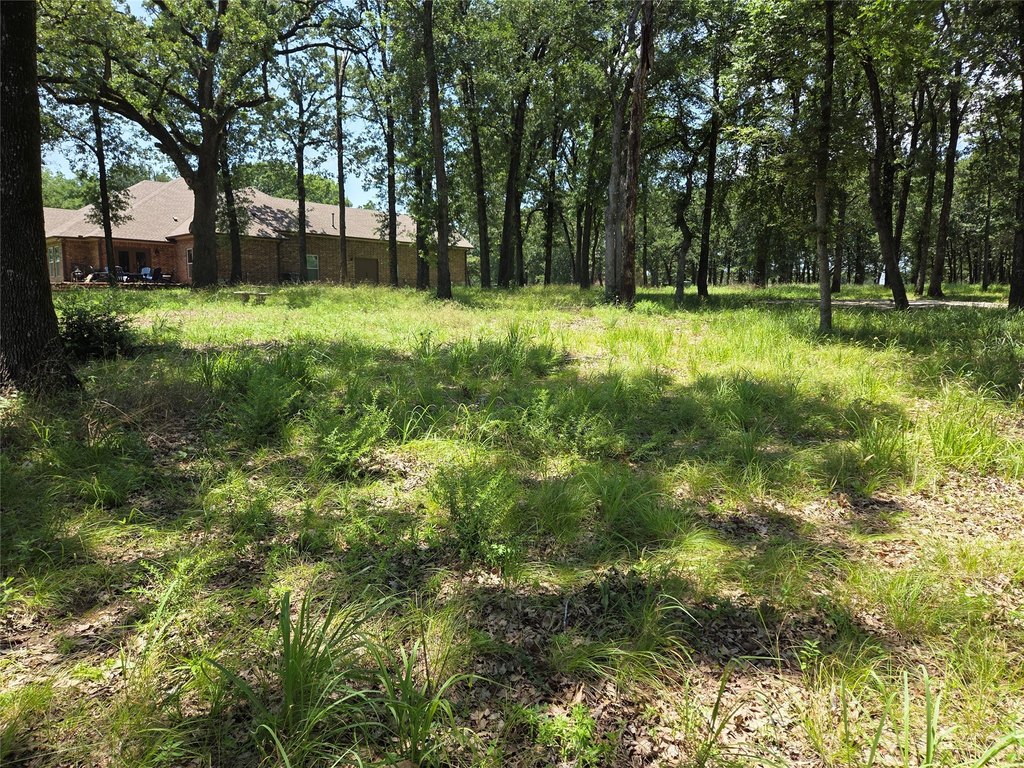 Picture 29