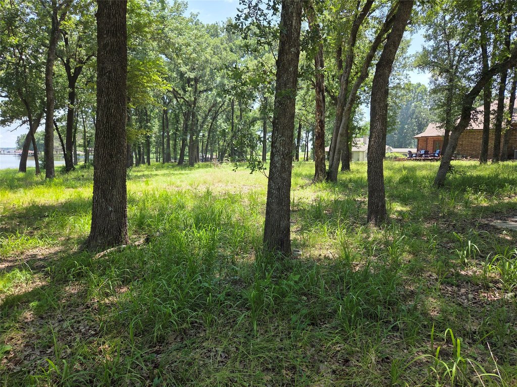Picture 28