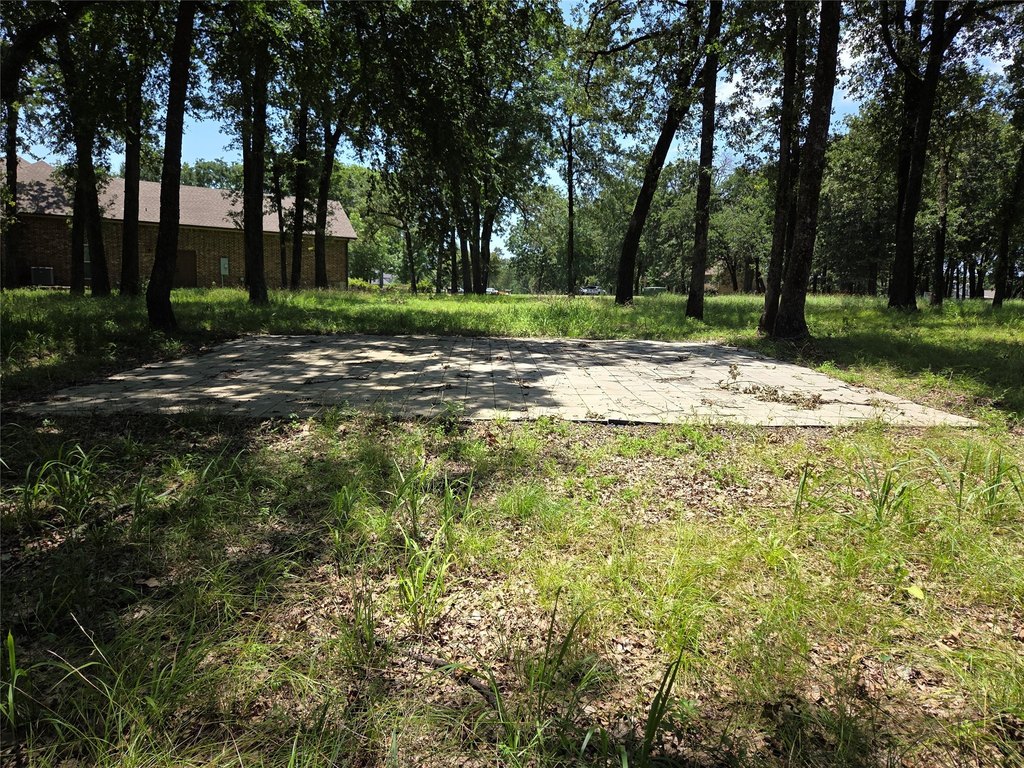 Picture 39