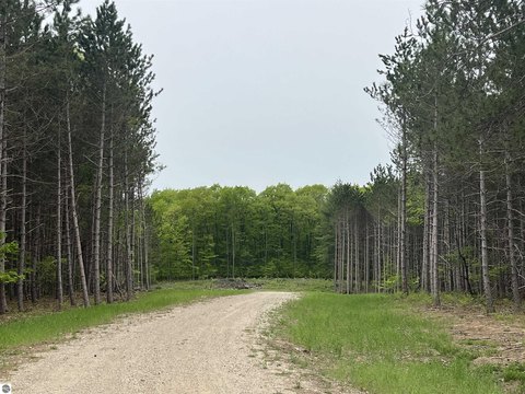 Vacant Lot/Land, Traverse City, MI