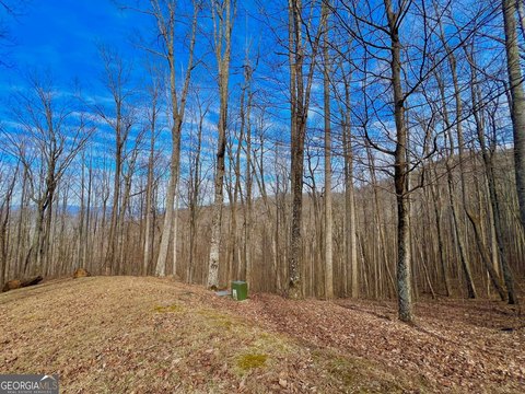 Land in Rocky Knob Estates
