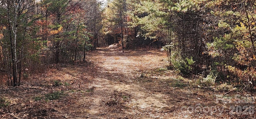 Picture 22