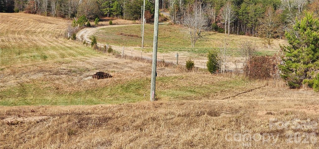 Picture 19